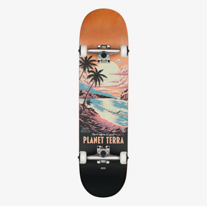G1 Visitation 8.25" Complete - Terra Bay