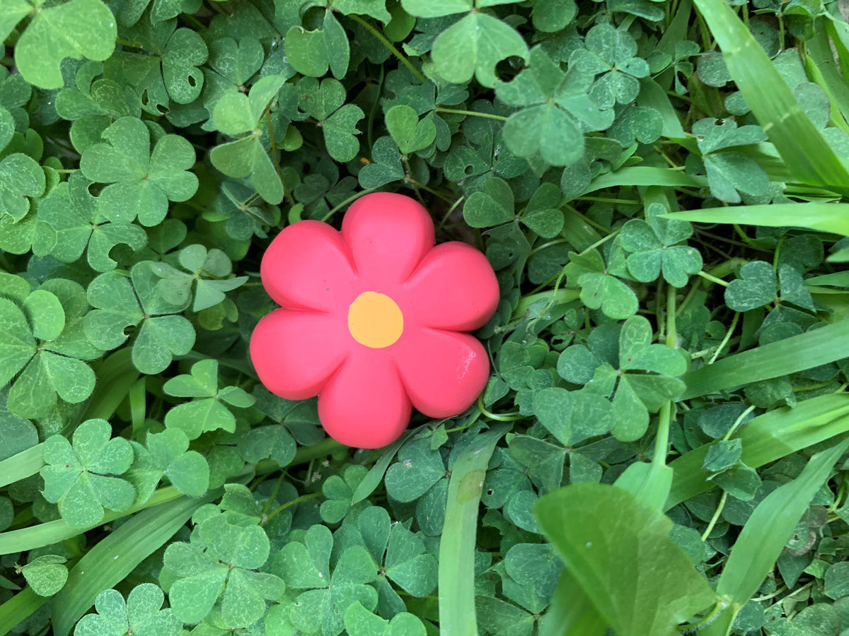 Moxi Brake Petals Toe Stops