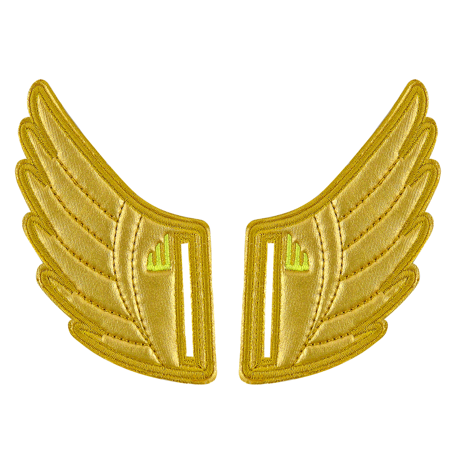 SHWINGS Gold Foil Velcro Wings